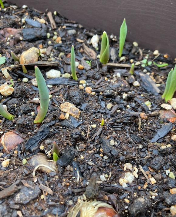 auto-I76OWD.jpg auto-I76OWD.jpg