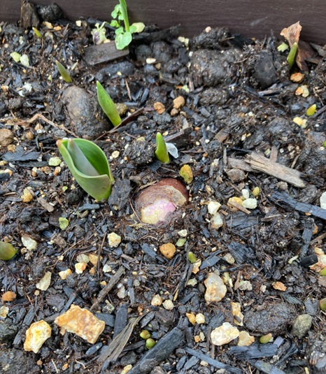 auto-MrglOL.jpg auto-MrglOL.jpg